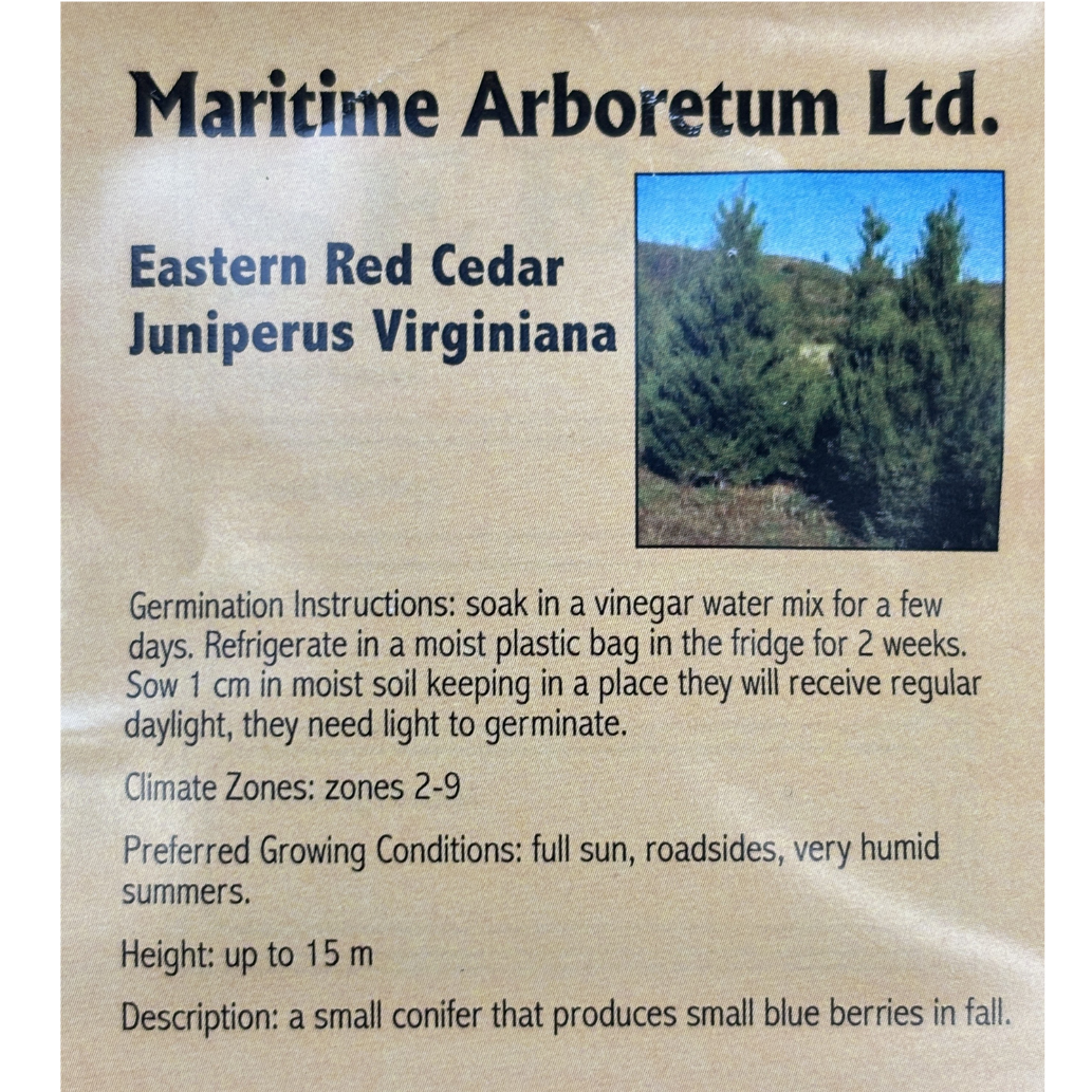 Maritime Arboretum Seed Eastern Red Cedar