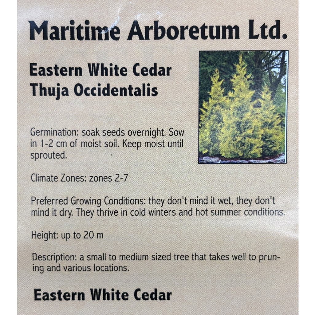 Maritime Arboretum Seed Eastern White Cedar