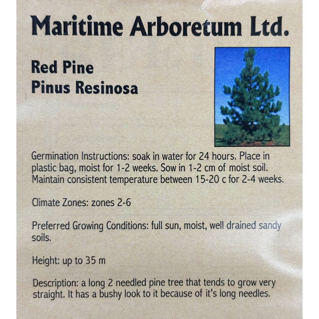 Maritime Arboretum Seed Red Pine