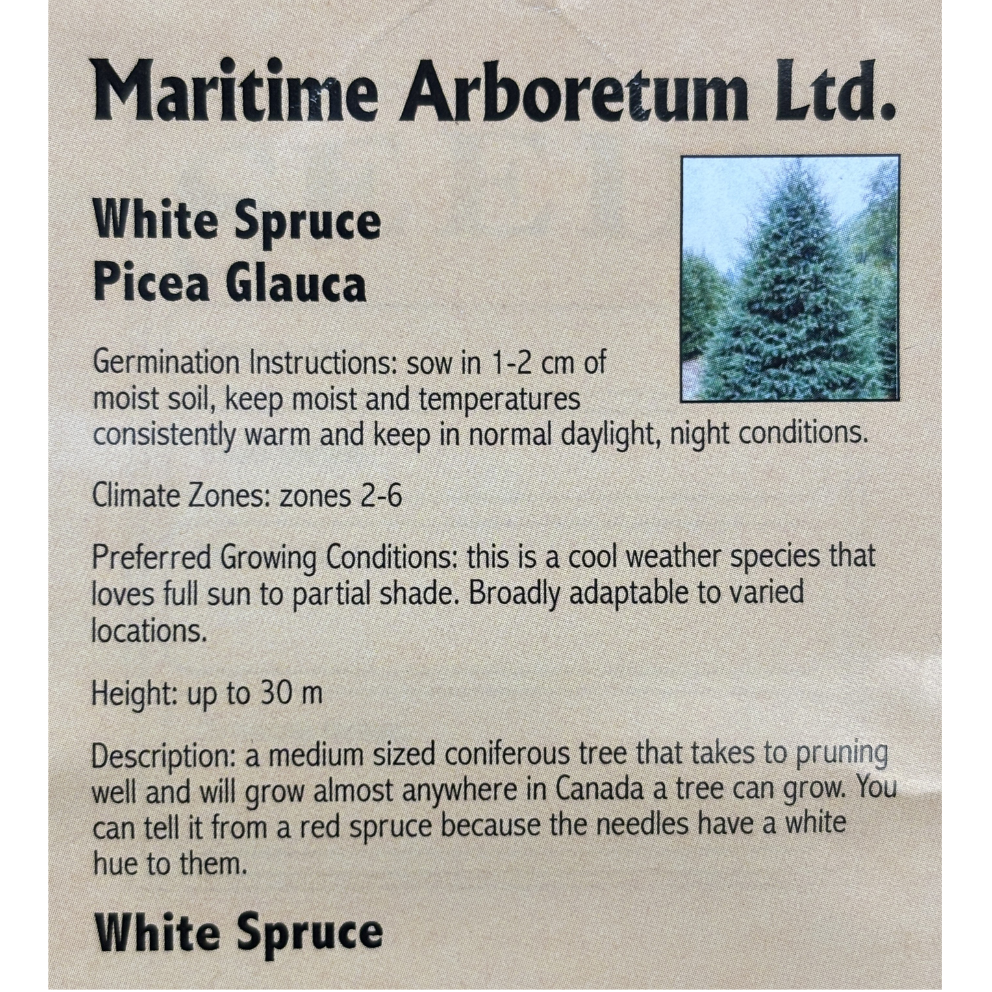 Maritime Arboretum Seed White Spruce