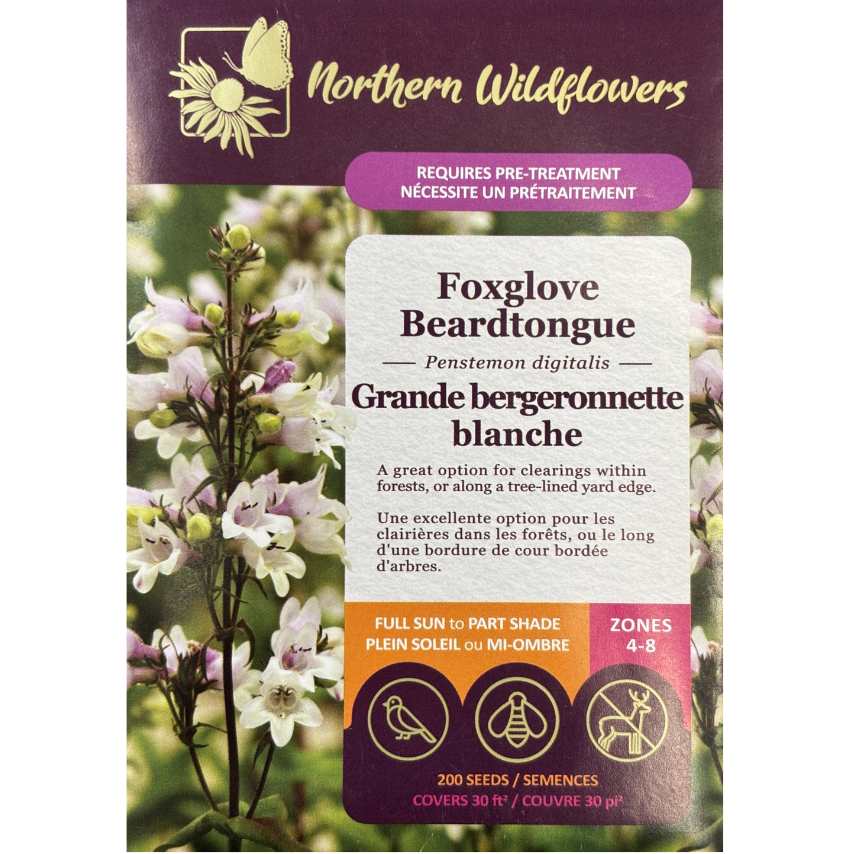 Northern Wildflowers Foxglove Beardtongue Pkg.