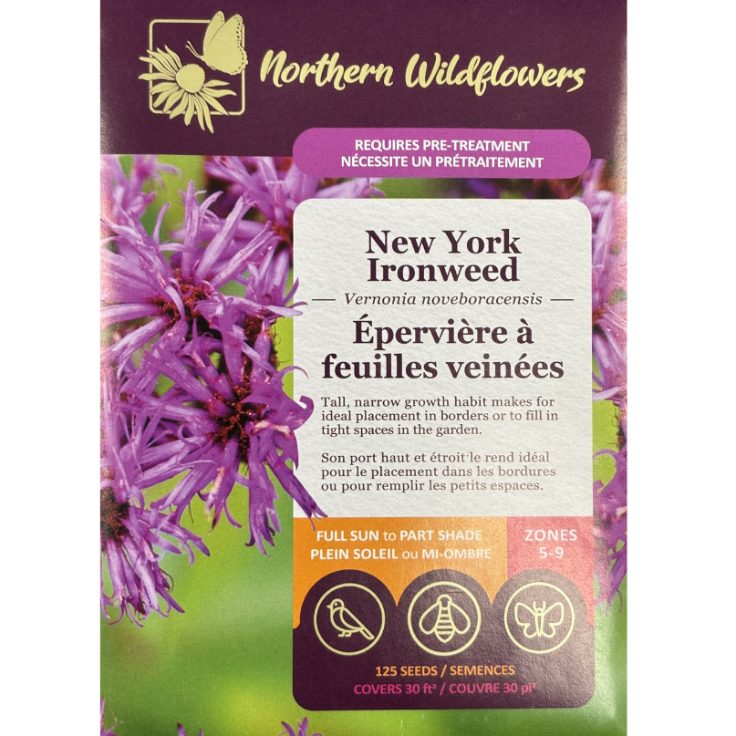 Northern Wildflowers Ironweed New York Pkg.