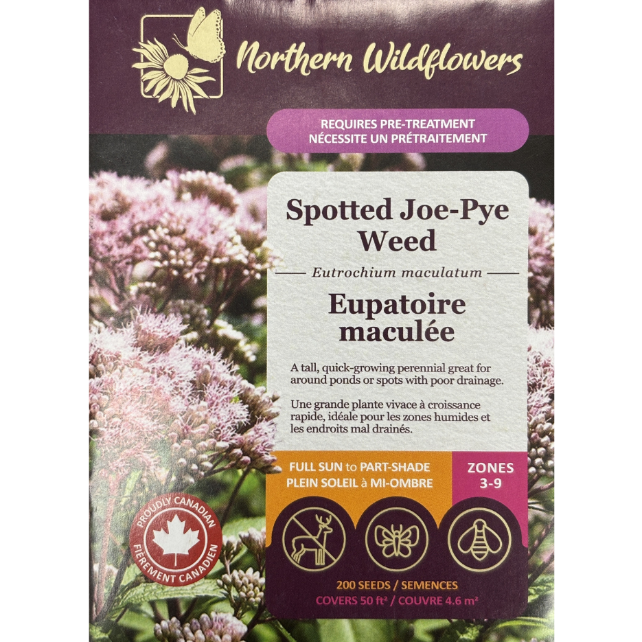 Northern Wildflowers Joe-Pye Weed Spotted Pkg.