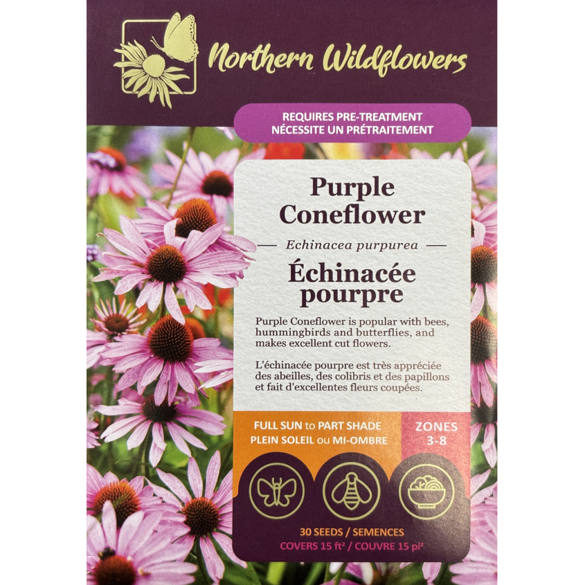 Northern Wildflowers Coneflower Purple Pkg.