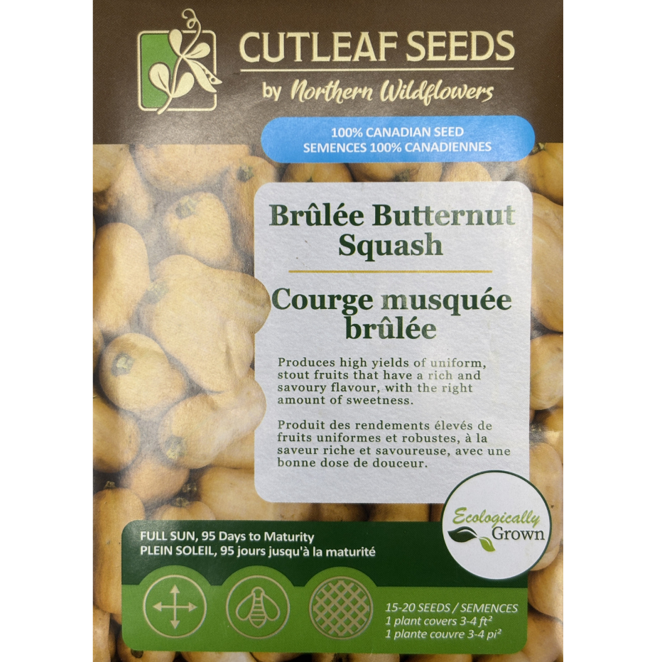 Northern Wildflowers Squash Brulee Butternut Pkg.