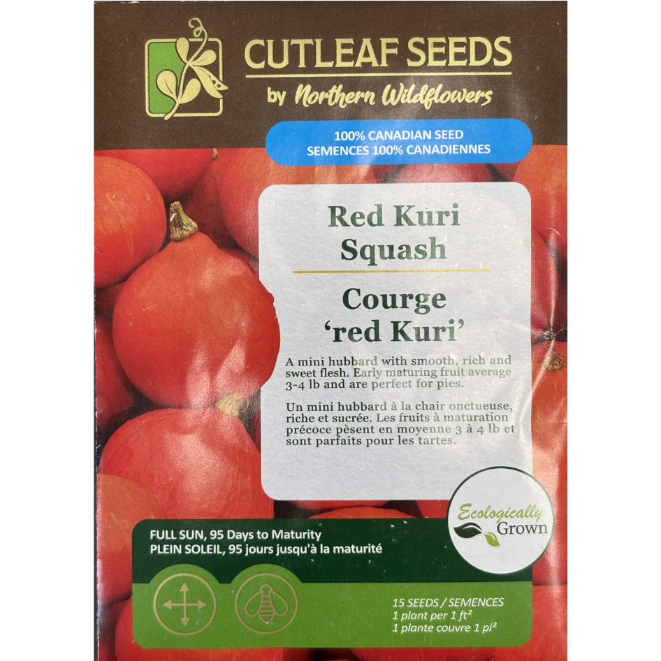 Northern Wildflowers Squash Red Kuri Pkg.