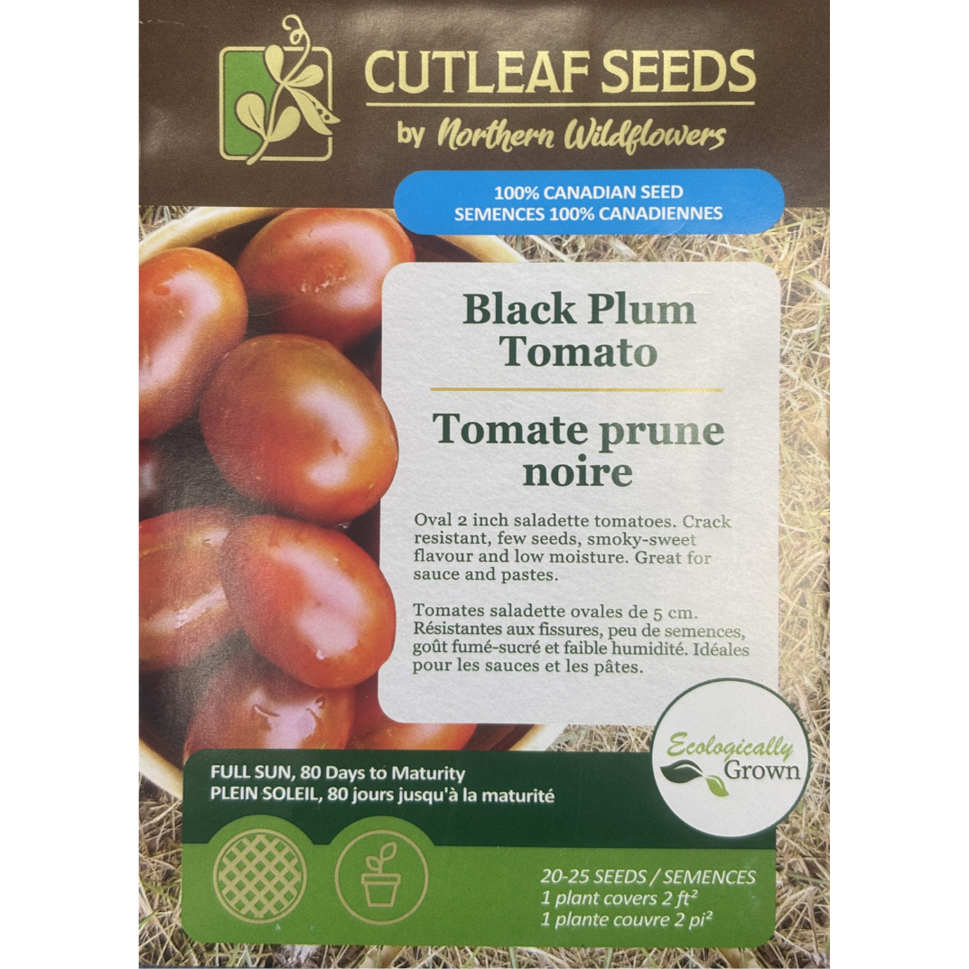 Northern Wildflowers Tomato Black Plum Pkg.