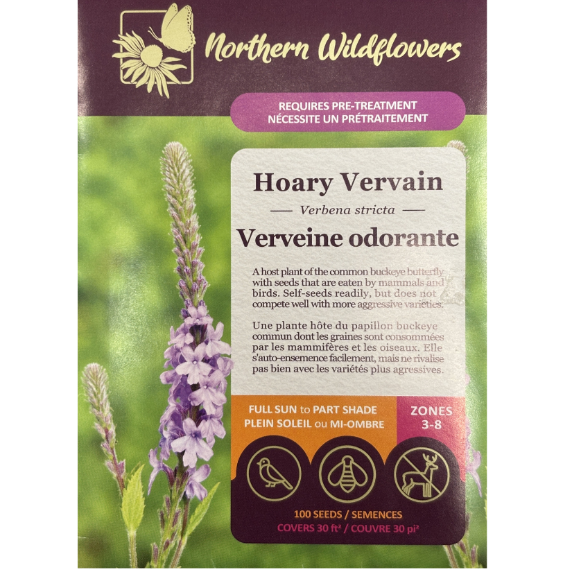 Northern Wildflowers Vervain Hoary Pkg.
