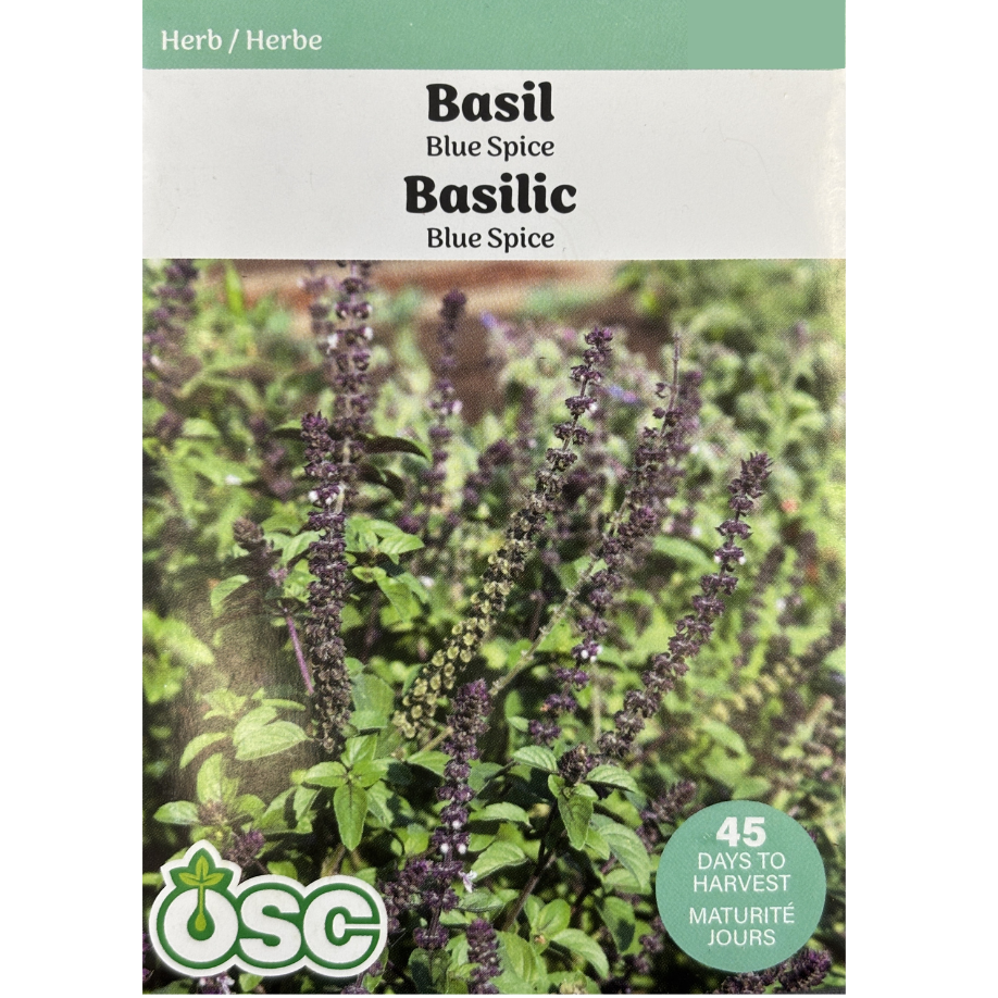 OSC Herb Seeds Basil Blue Spice Pkg.
