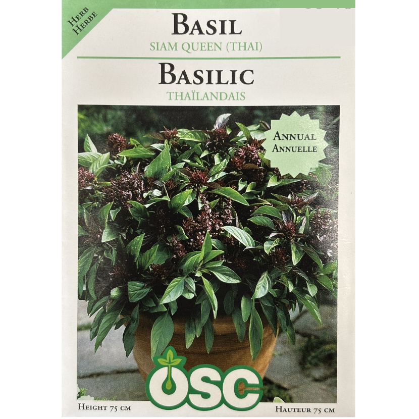 OSC Herb Seeds Basil Siam Queen Thai Pkg.