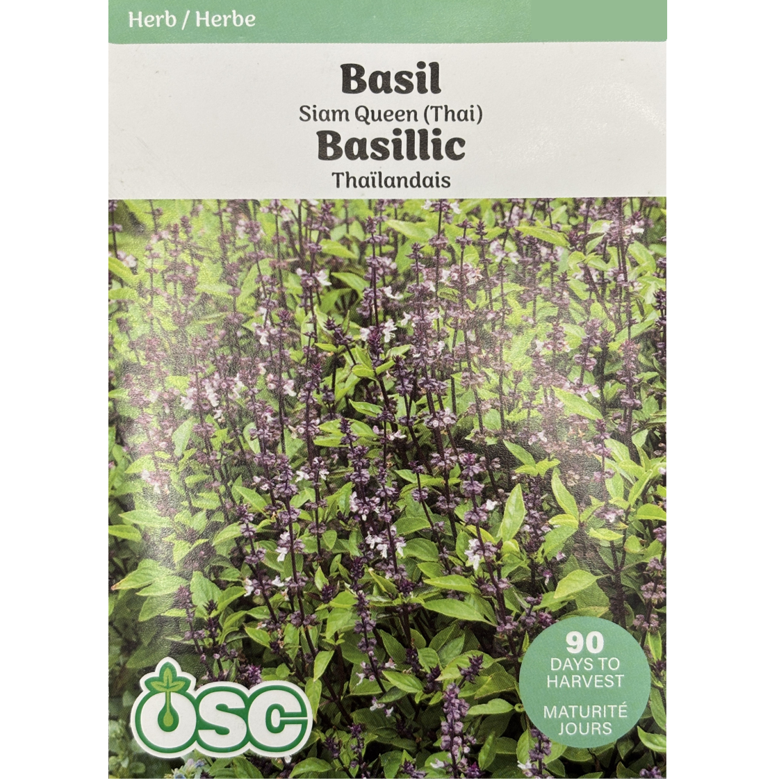OSC Herb Seeds Basil Siam Queen Thai Pkg.