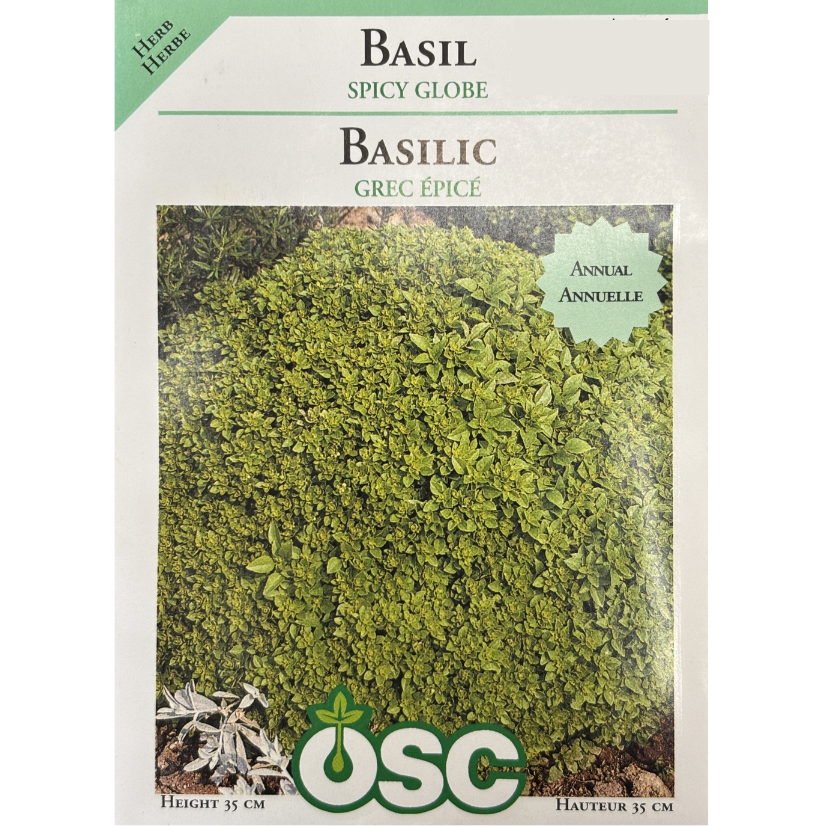 OSC Herb Seeds Basil Spicy Globe Pkg.