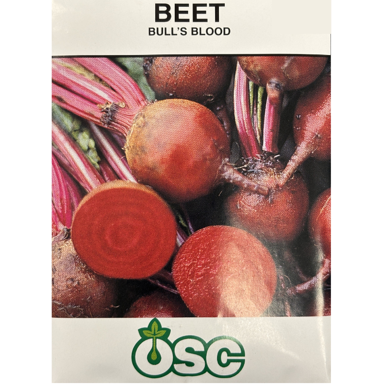 OSC Seeds Beet Bull's Blood Pkg.