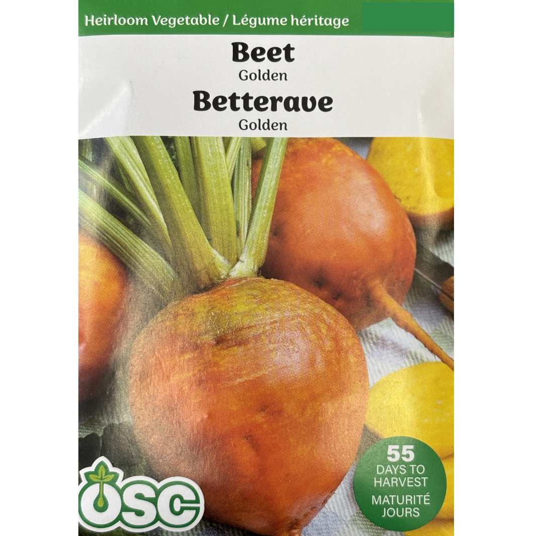 OSC Seeds Beets Golden Pkg.