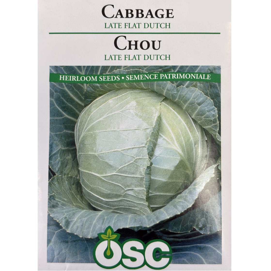 OSC Seeds Cabbage Flat Dutch Late Pkg.