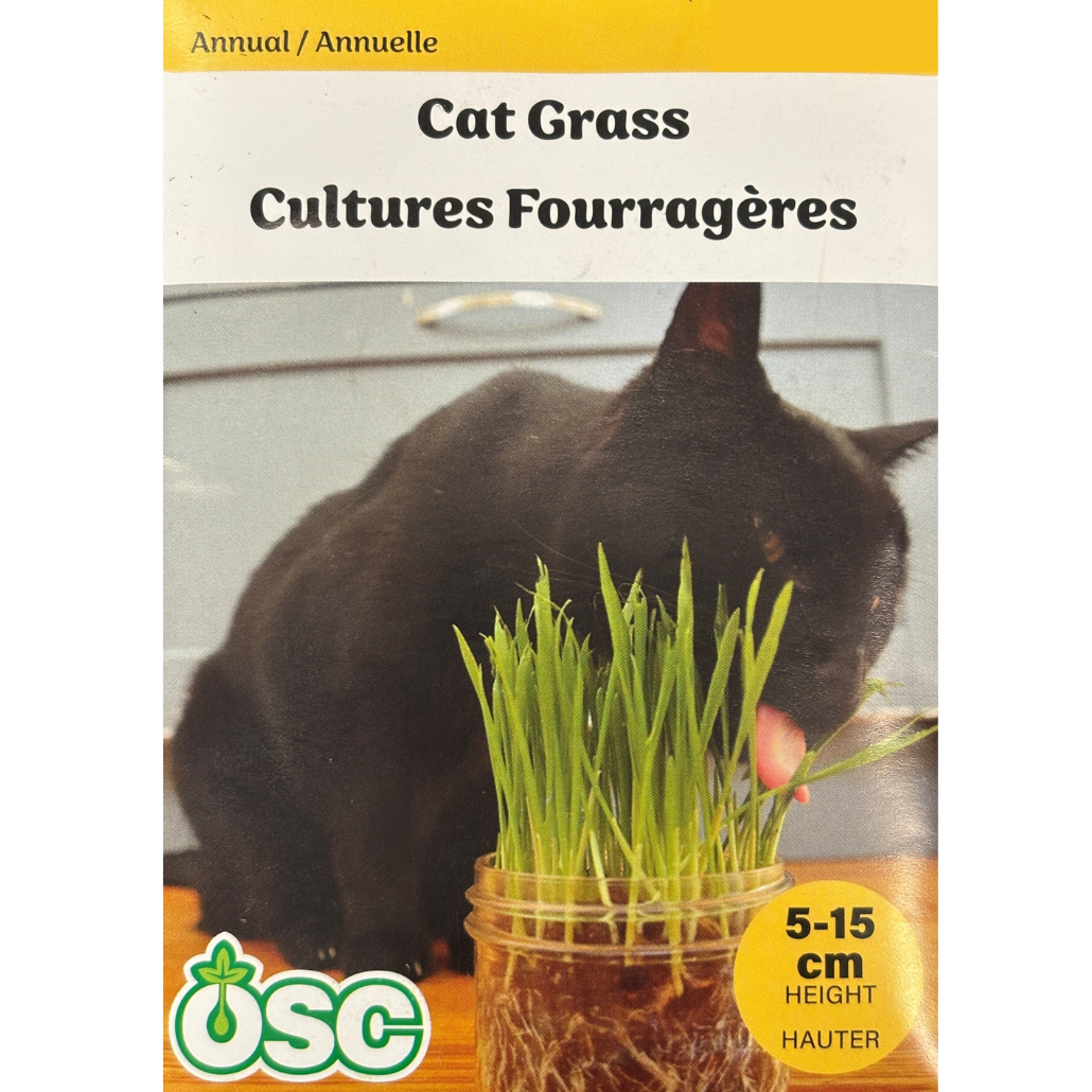 OSC Seeds Cat Grass Pkg.