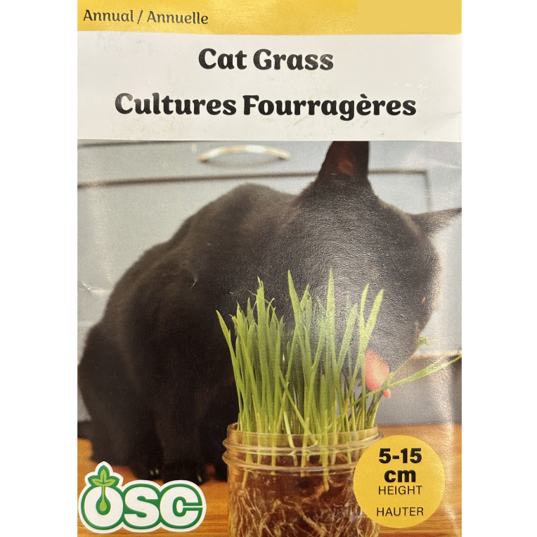OSC Seeds Cat Grass Pkg.