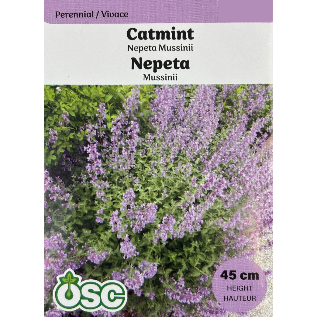 OSC Herb Seeds Catmint Nepeta Mussini Pkg.