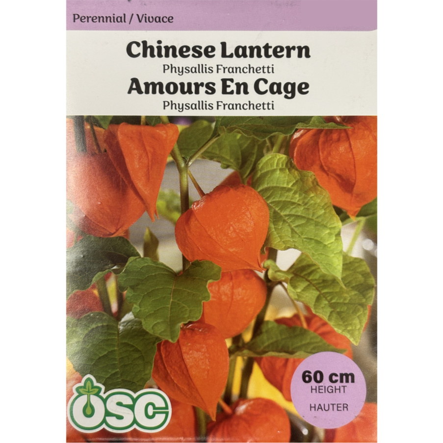 OSC Seeds Chinese Lantern Pkg.