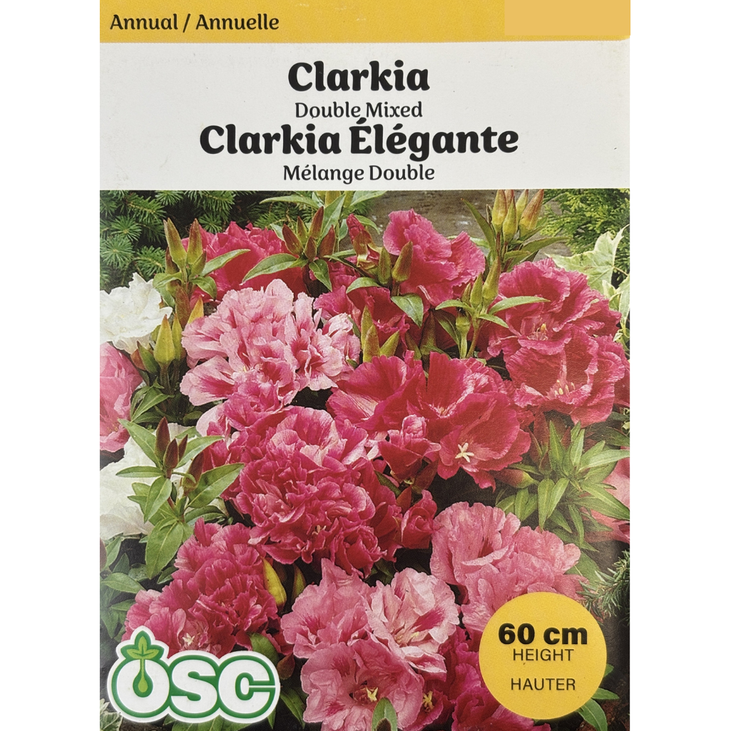 OSC Seeds Clarkia Double Mixed Pkg.