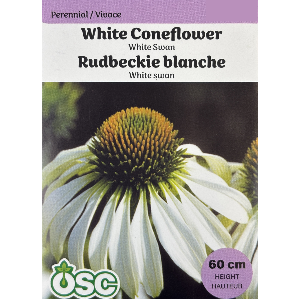 OSC Seeds Coneflower White Swan Pkg.