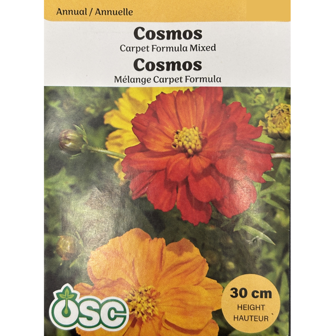 OSC Seeds Cosmos Carpet Formula Mixed Pkg.