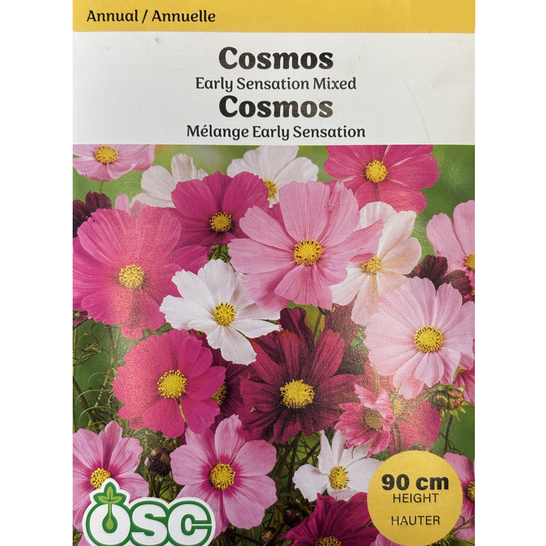 OSC Seeds Cosmos 'Early Sensation Mixed' Pkg.