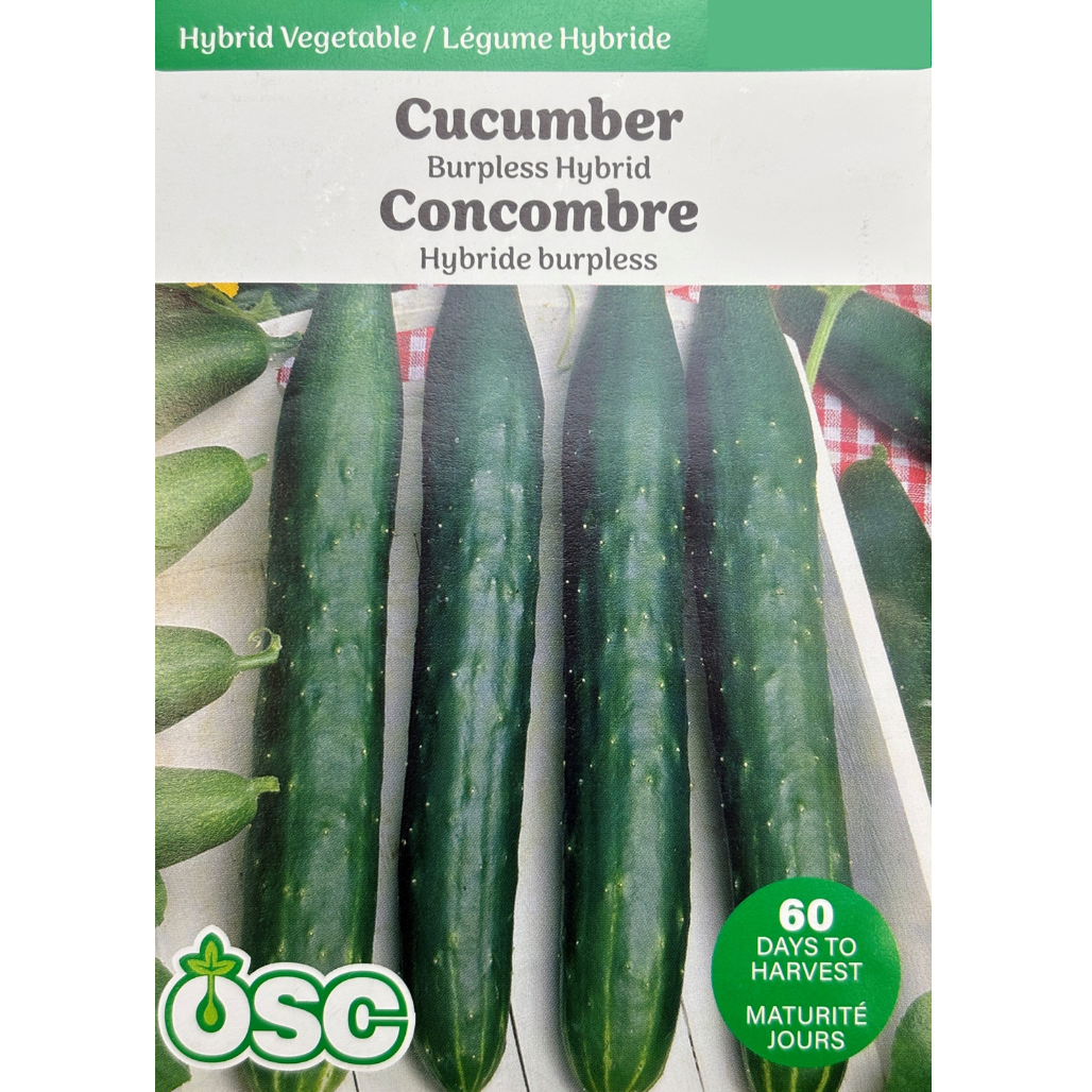 OSC Seeds Cucumber Burpless Hybrid Pkg.