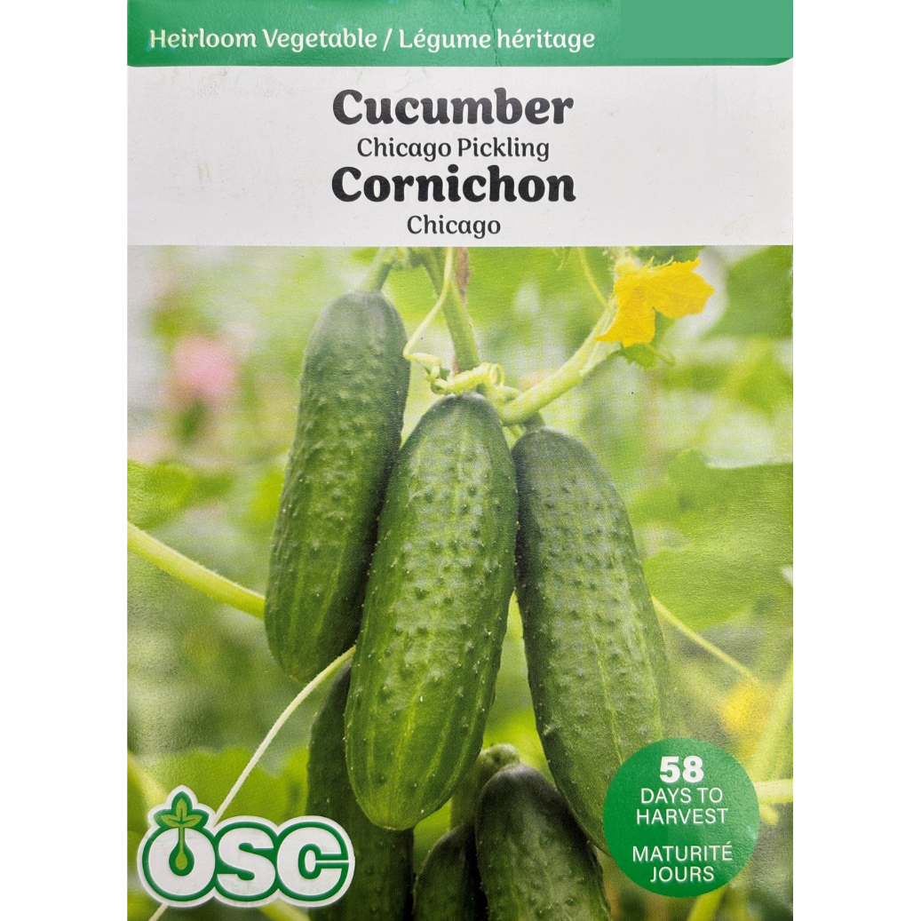 OSC Seeds Cucumber Chicago Pickling Pkg.