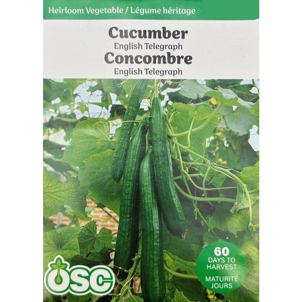 OSC Seeds Cucumber English Telegraph Pkg.