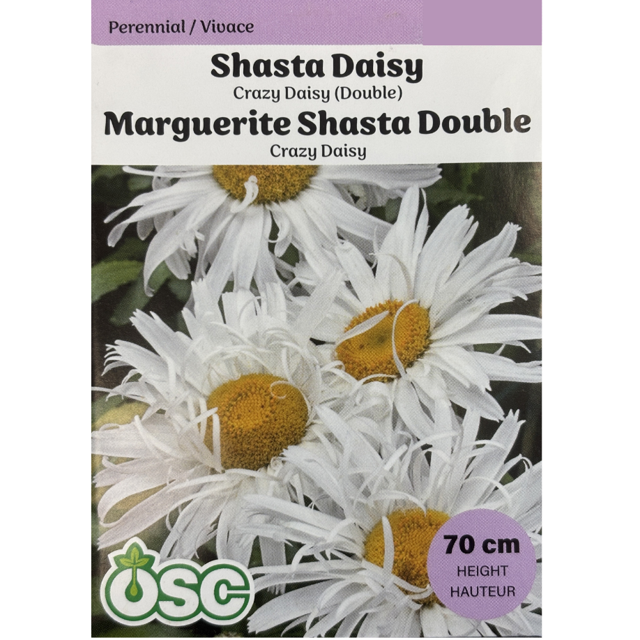 OSC Seeds Daisy Shasta Crazy Double Pkg.