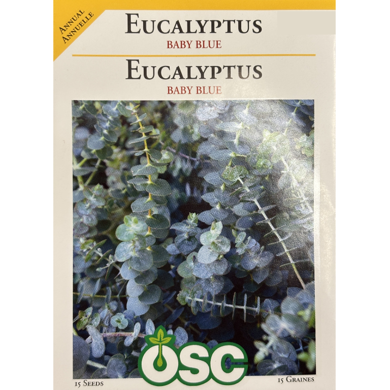 OSC Seeds Eucalyptus Baby Blue Pkg.