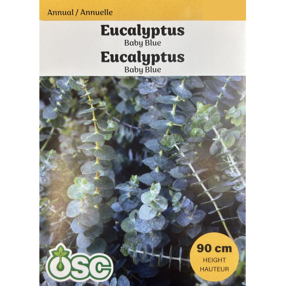 OSC Seeds Eucalyptus Baby Blue Pkg.