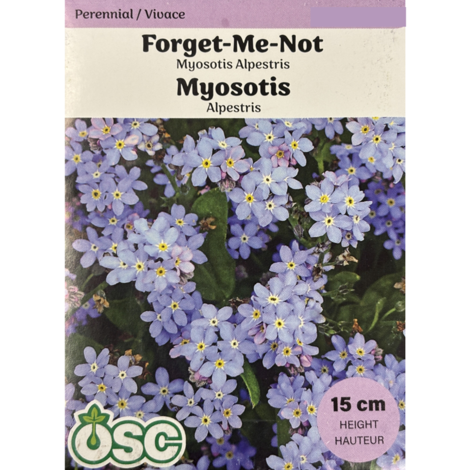 OSC Seeds Forget-Me-Not Myosotis Alpestris Pkg..