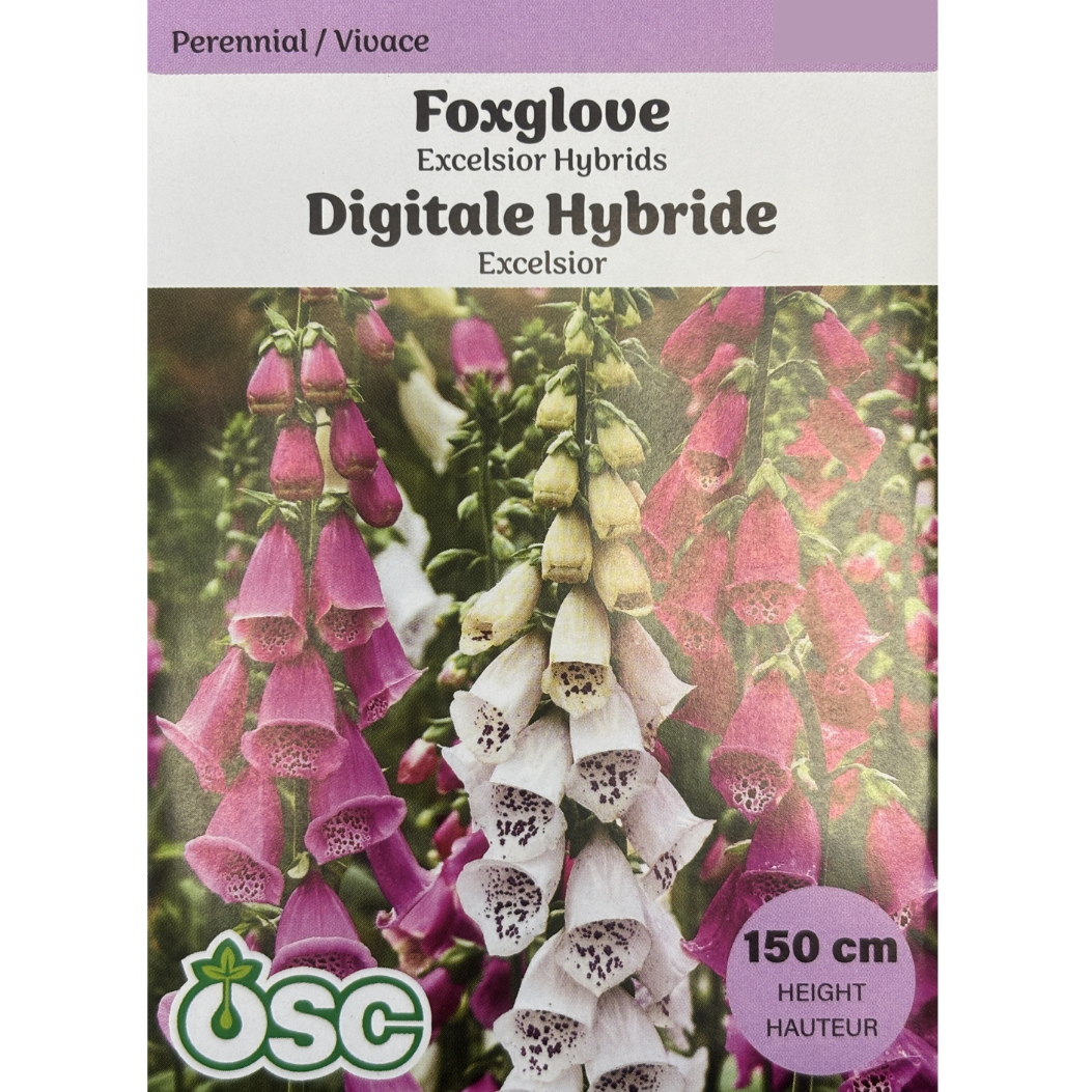 OSC Seeds Foxglove Excelsior Hybrids Pkg.
