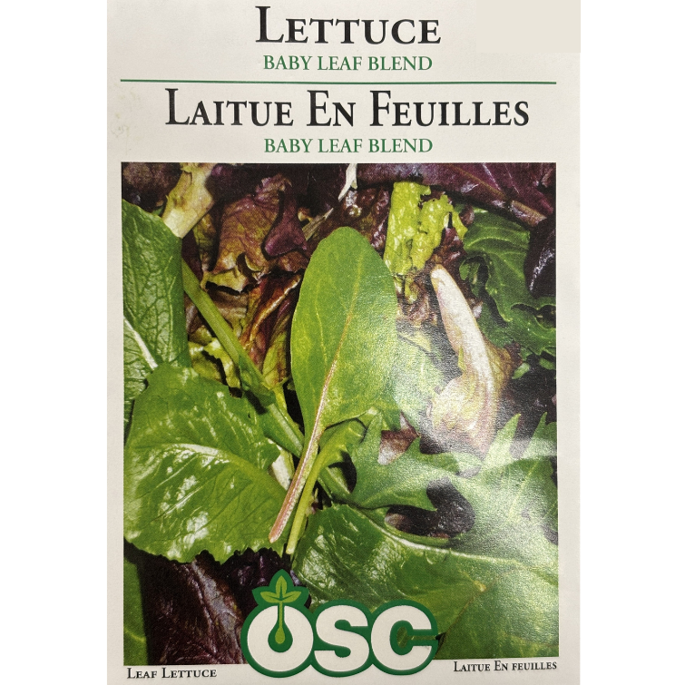OSC Seeds Lettuce Baby Leaf Blend Pkg.