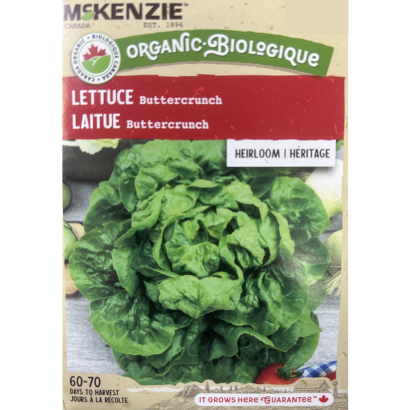 McKenzie Organic Seed Lettuce Buttercrunch Pkg.