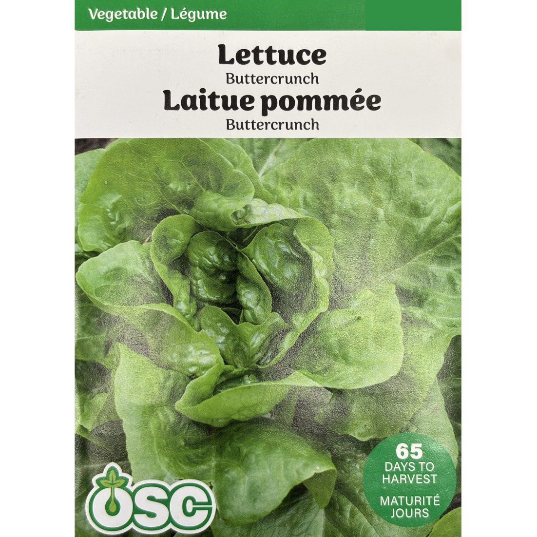 OSC Seeds Lettuce Buttercrunch Pkg.