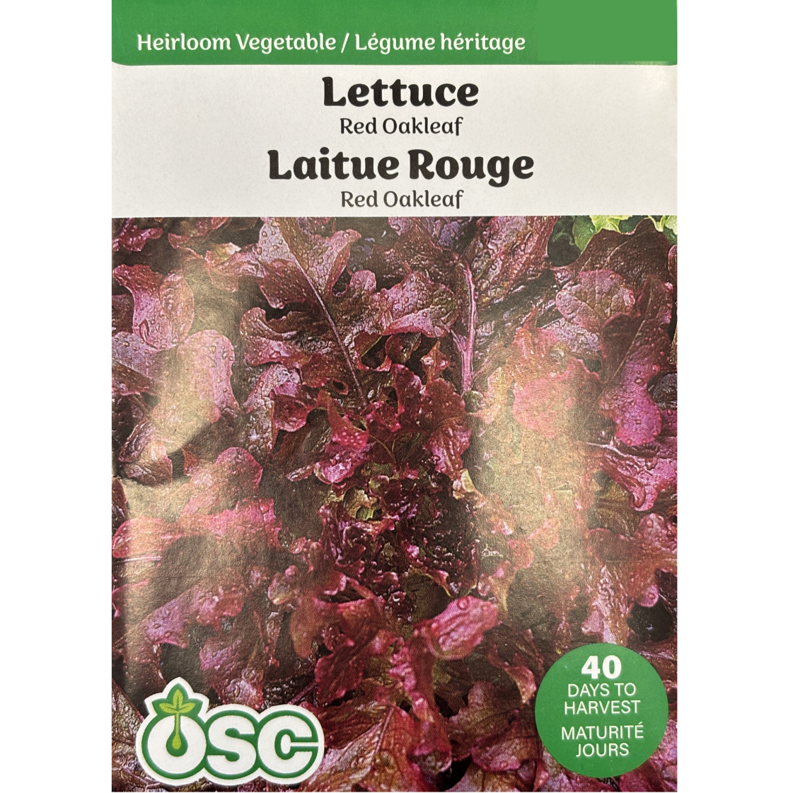 OSC Seeds Lettuce Red Oakleaf Pkg.