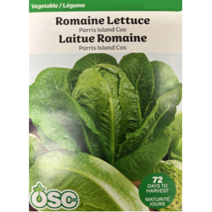 OSC Seeds Lettuce Romaine Paris Island Cos Pkg.