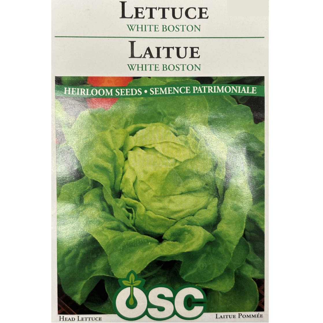 OSC Seeds Lettuce White Boston Pkg.