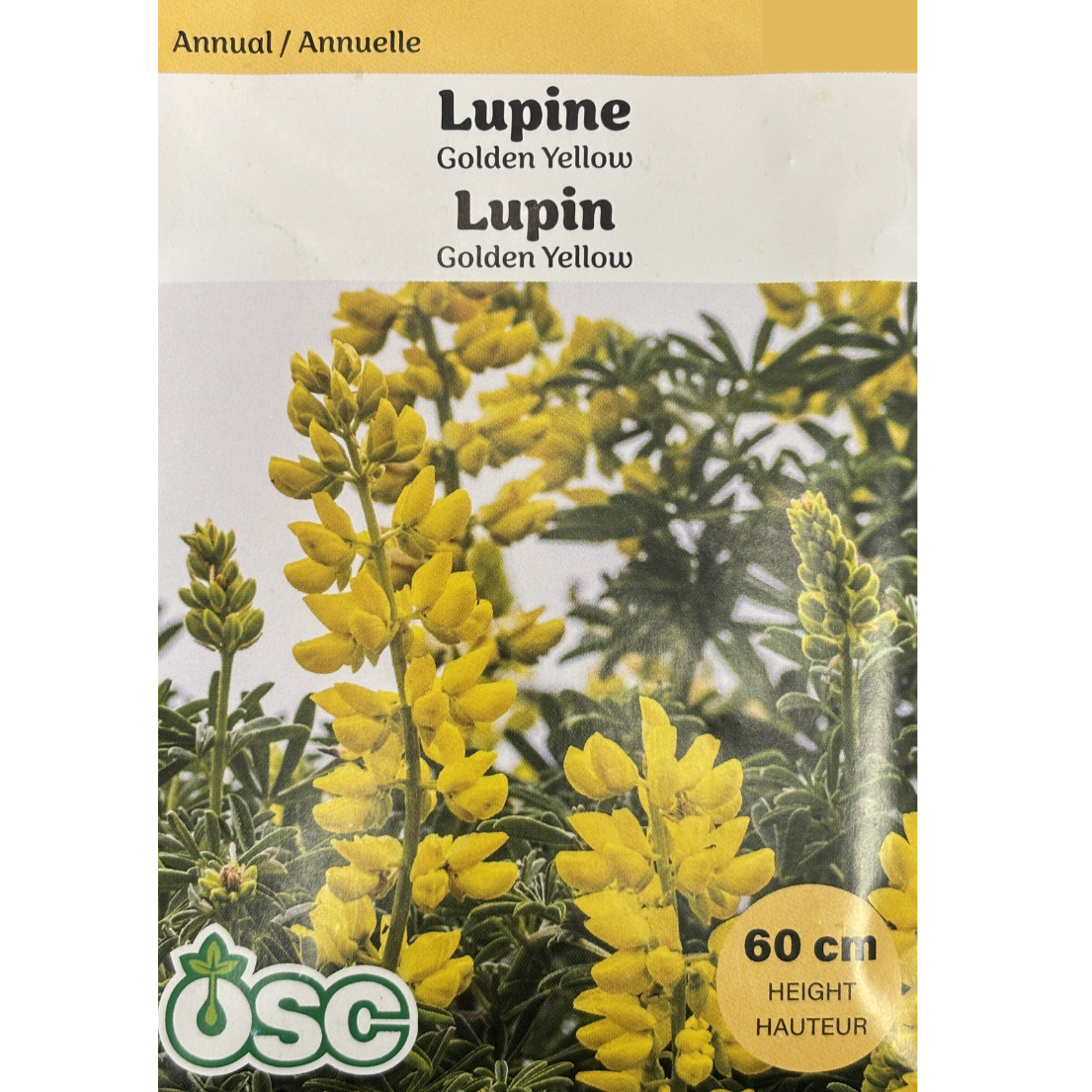 OSC Seeds Lupine Gold Yellow Pkg.