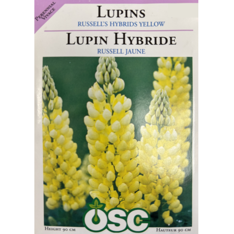 OSC Seeds Lupins Russell's Hybrid Yellow Pkg.
