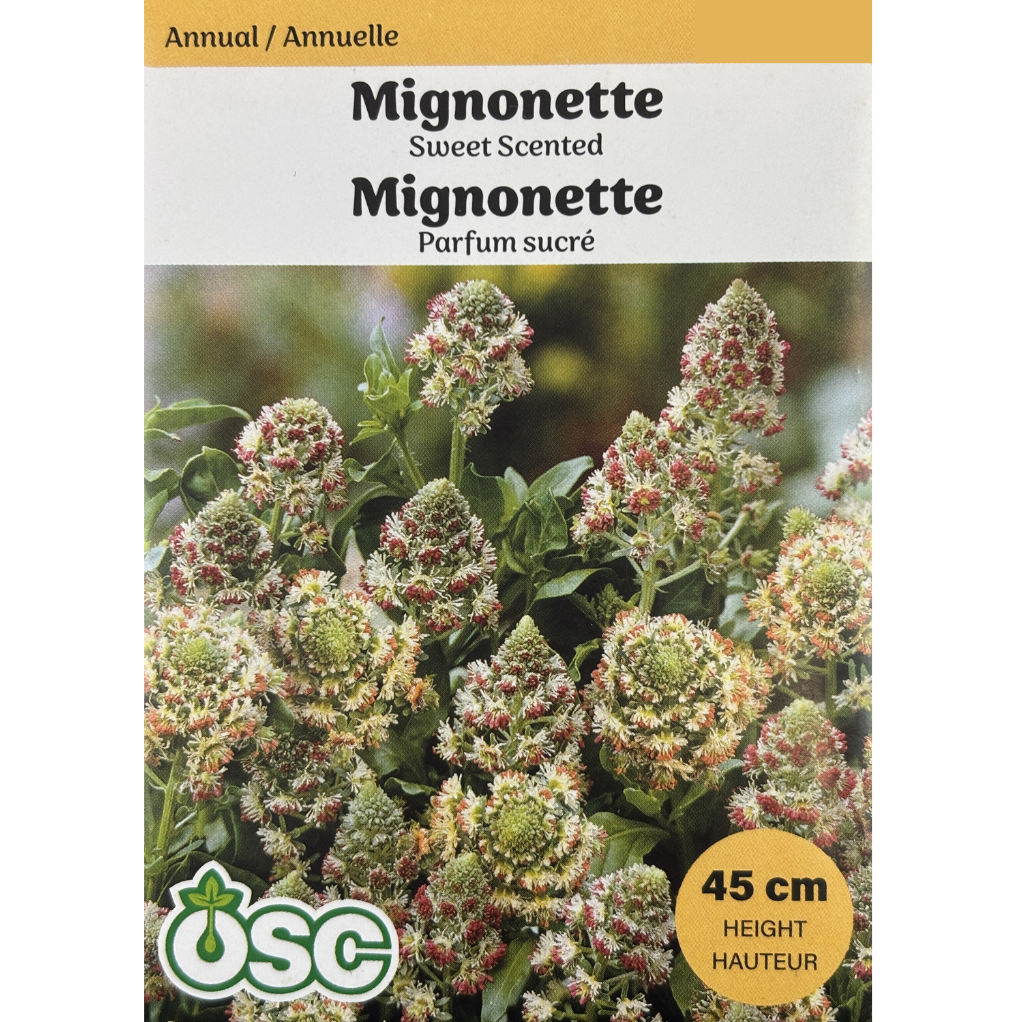 OSC Seeds Mignonette Sweet Scented Pkg.