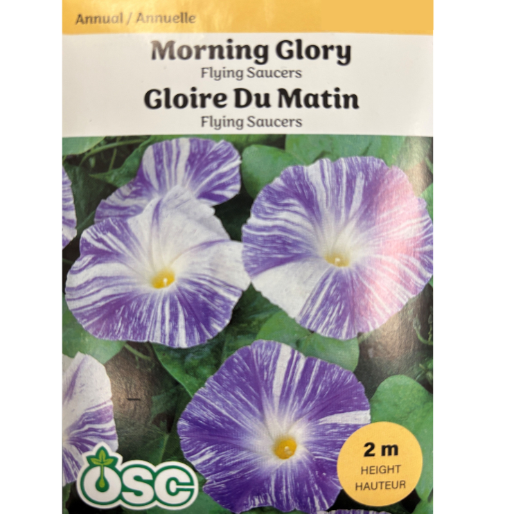 OSC Seeds Morning Glory Flying Saucers Pkg.