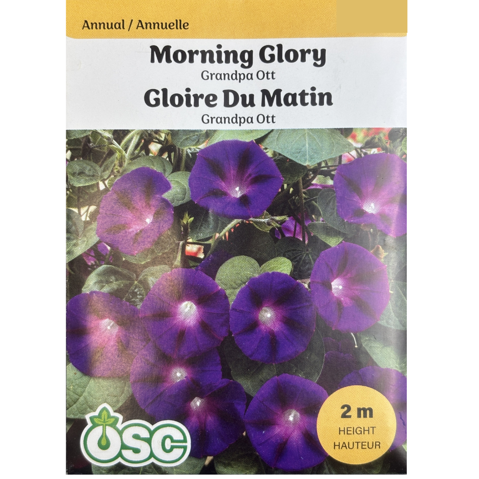 OSC Seeds Morning Glory Grandpa Ott Pkg.