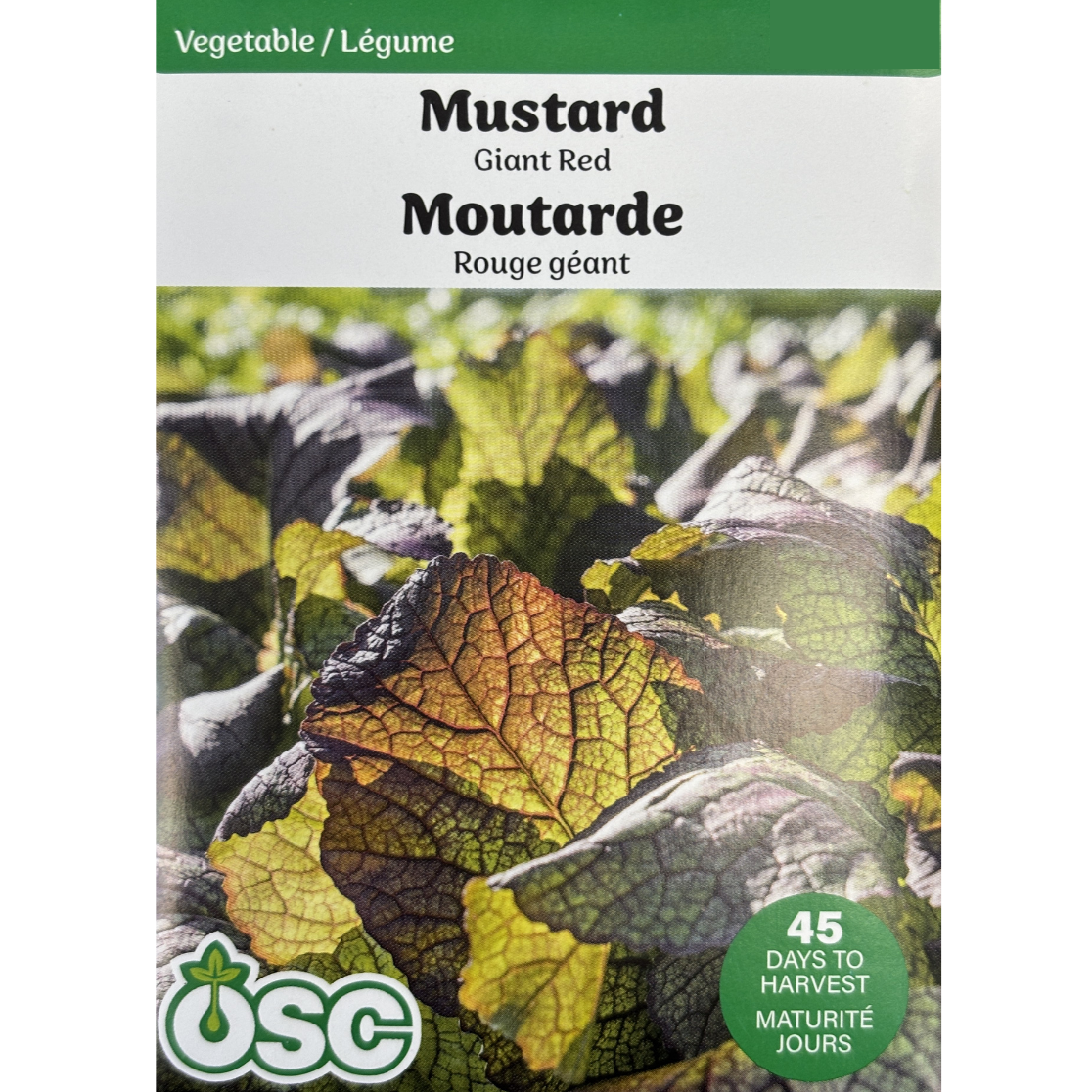 OSC Seeds Mustard Giant Red Pkg.