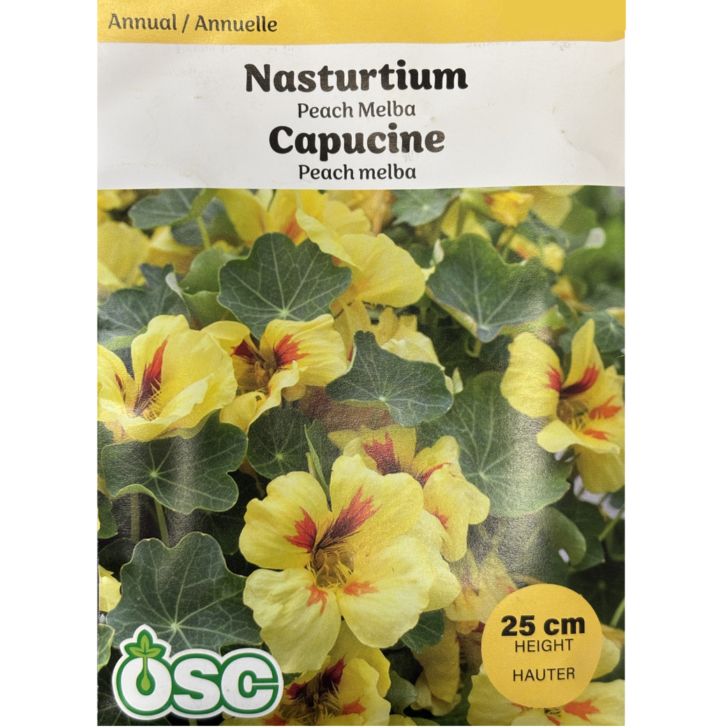 OSC Seeds Nasturtium Peach Melba Pkg.