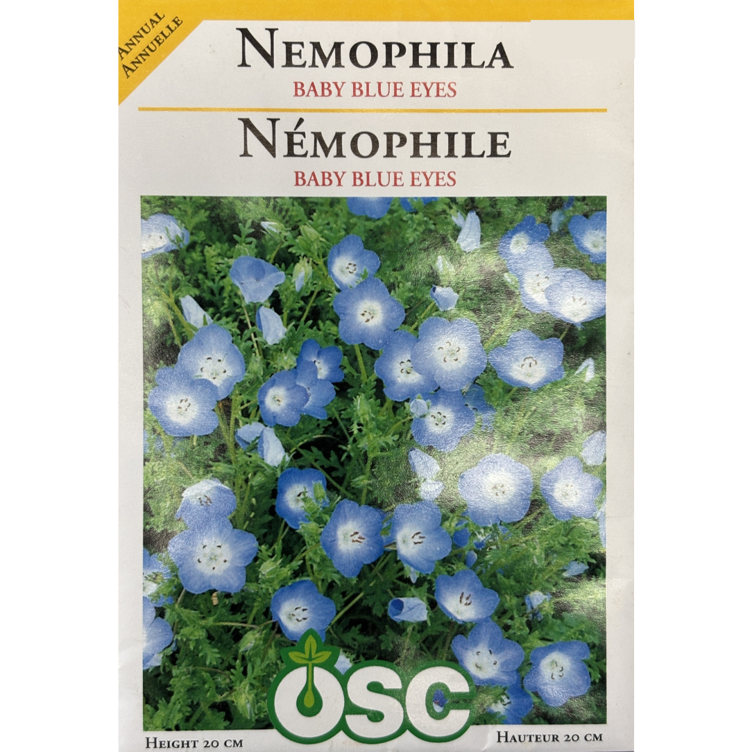 OSC Seeds Nemophila Baby Blue Eyes Pkg.