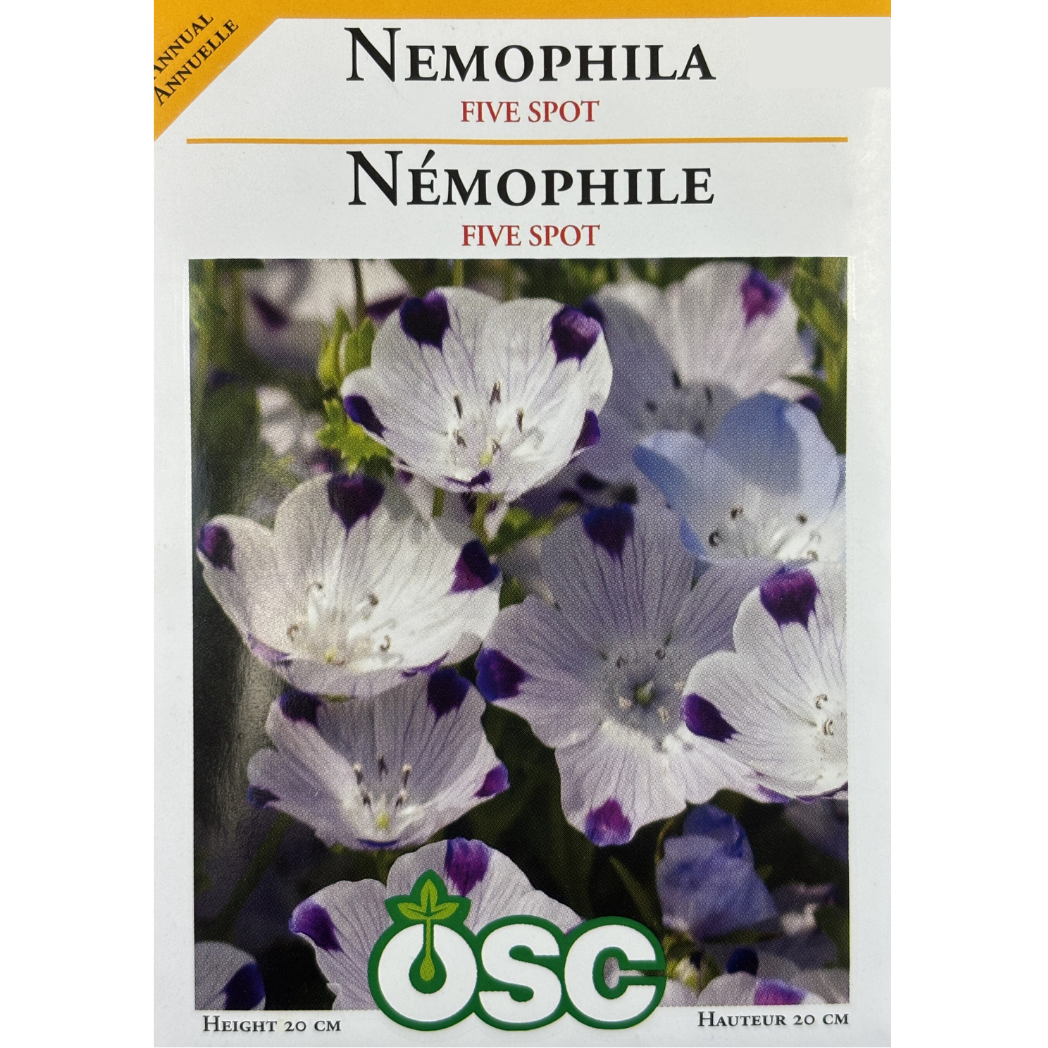 OSC Seeds Nemophila Five Spot Pkg.